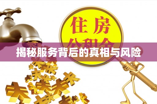 阳原揭秘服务背后的真相与风险